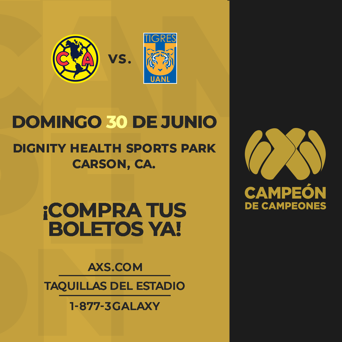 More Info for Campeón de Campeones